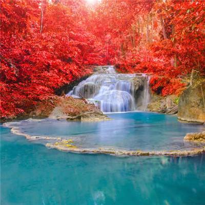 恋恋江湖手机版下载