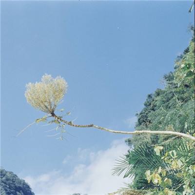 拉鲁纳幻想官方版(暂未上线)v1.0.0 安卓版